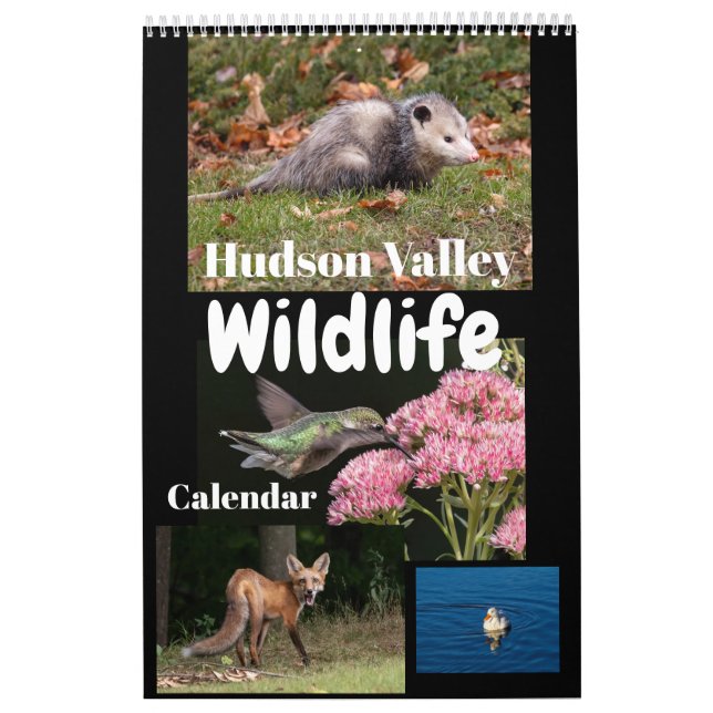 Calendrier de la faune de la vallée d'Hudson (Protection)