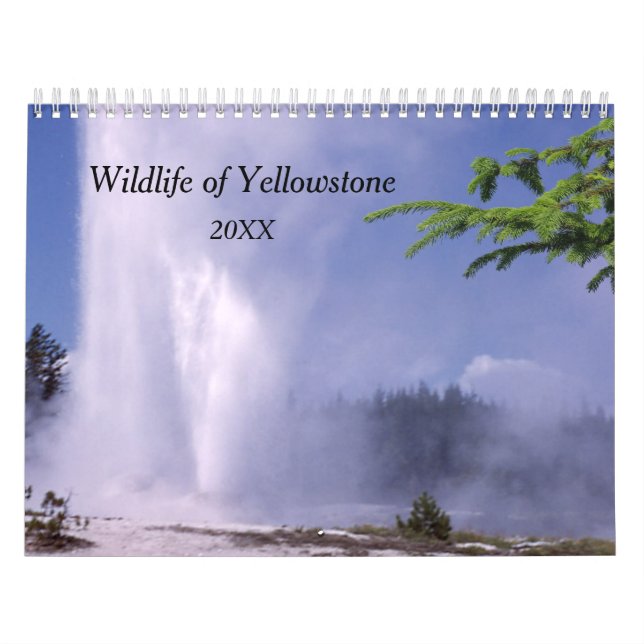 Calendrier de la faune de Yellowstone (Protection)