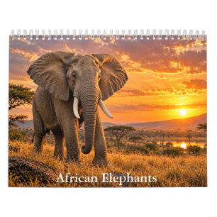 Calendrier de la faune des éléphants africains maj