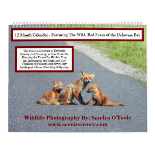 Calendrier de la faune, Renards roux