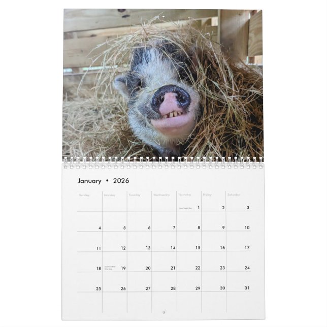 Calendrier de la ferme de paix (Jan 2026)