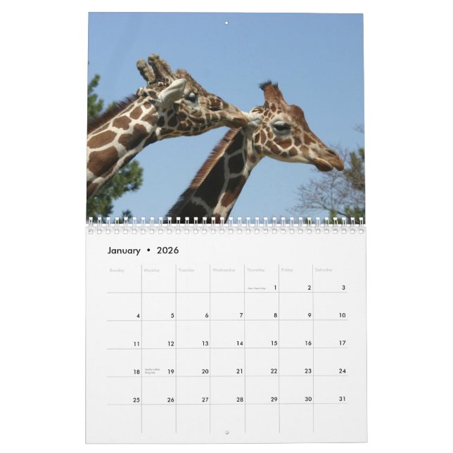 Calendrier de la girafe 2009 (Jan 2026)