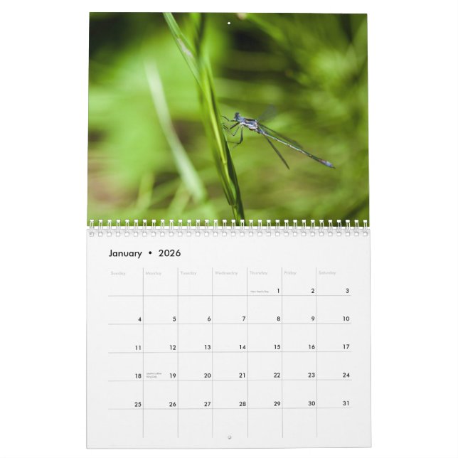 Calendrier de la libellule 2014 et du Damselfly (Jan 2026)