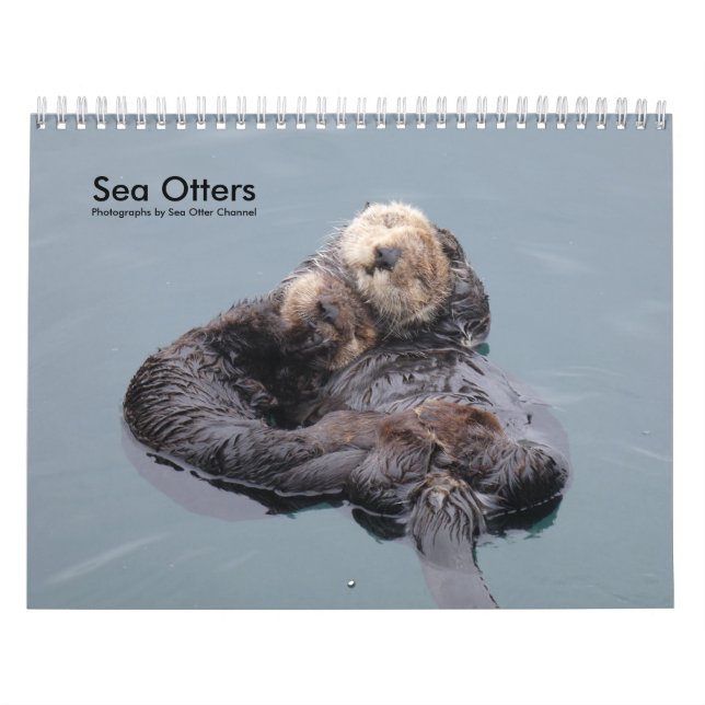 Calendrier de la Manche de Loutres de mer #4 (Protection)