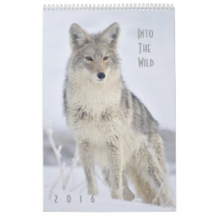 Calendrier de la muraille faunique 2016 par Steven