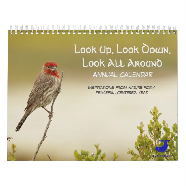 Calendrier de la nature : Regarde-Toi, Regarde-Toi (Protection)