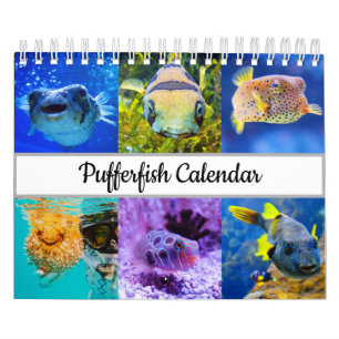 Calendrier de la pêche