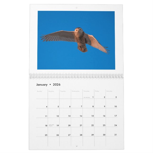 Calendrier de la photographie 2015 de Dustin (Jan 2026)