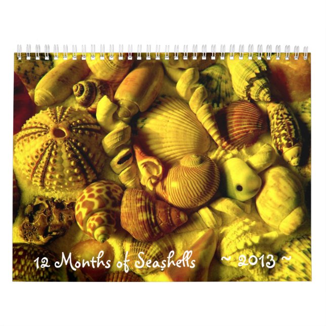 Calendrier de la photographie de coquillages longu (Protection)