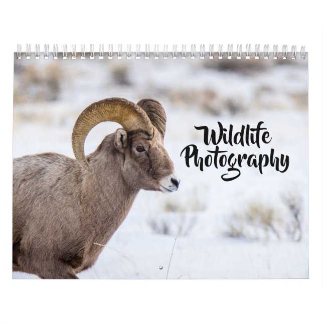 Calendrier de la photographie de la faune (Protection)