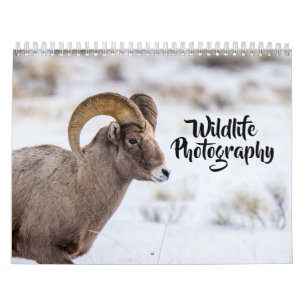 Calendrier de la photographie de la faune