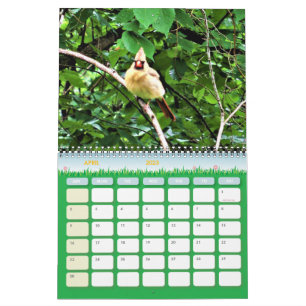 Calendrier de la photographie de la faune