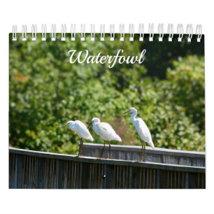 Calendrier de la sauvagine