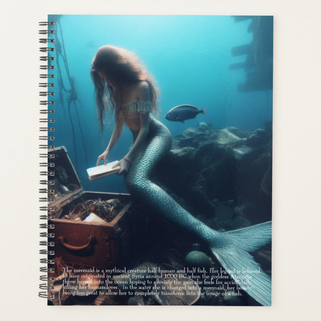 Calendrier de la Sirène (Devant)