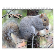 Calendrier de la vie sauvage