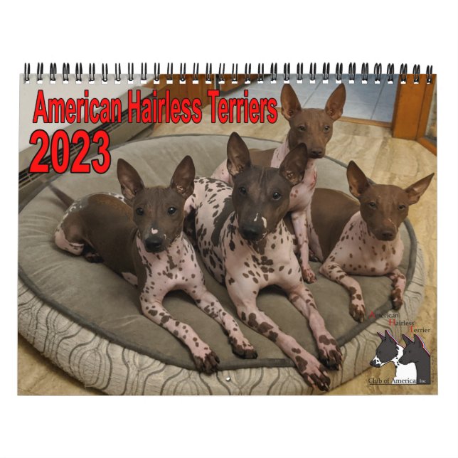 Calendrier de l'AHTCA 2023 American Hairless Terri (Protection)
