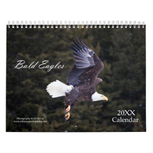 Calendrier de l'aigle à tête blanche