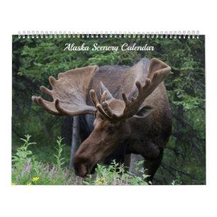 Calendrier de l'Alaska - disponible pendant toute