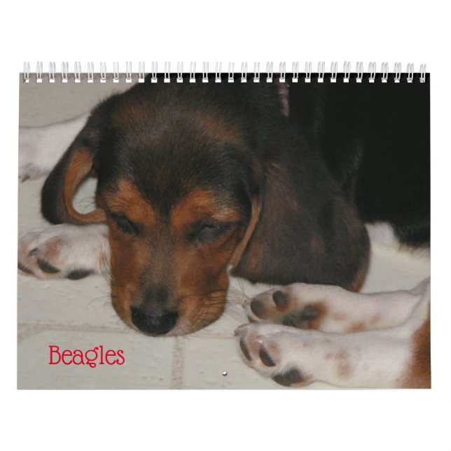 Calendrier de l'amour Beagle (Protection)