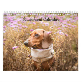 Calendrier de l'année personnalisée Dachshund
