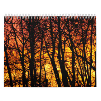 Calendrier de l'arborescence