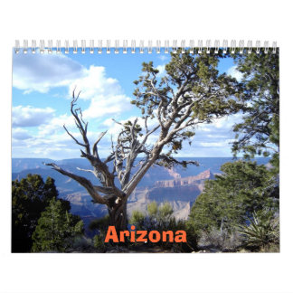 Calendrier de l'Arizona