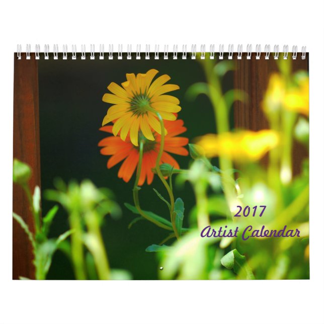 Calendrier de l'artiste 2017 (Protection)