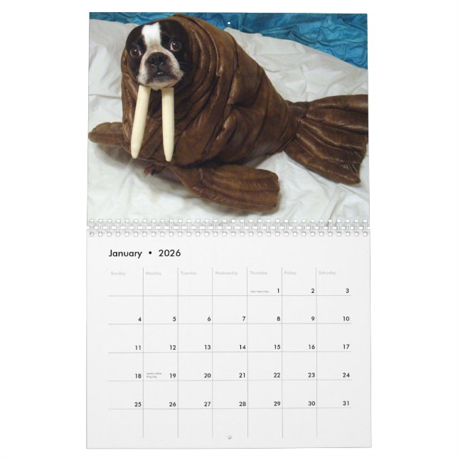 Calendrier de l'écho 2013 de Halloween (Jan 2026)