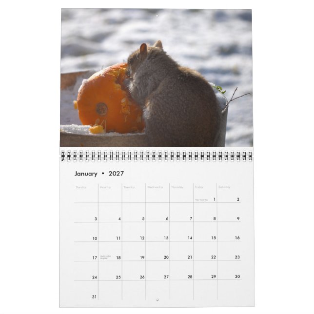 Calendrier de l'écureuil 2013 de l'OM Nom (Jan 2027)