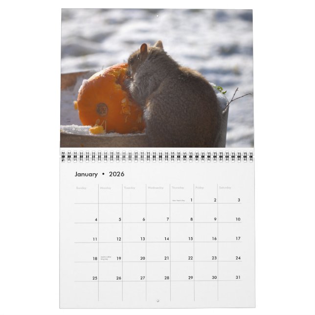 Calendrier de l'écureuil 2013 de l'OM Nom (Jan 2026)