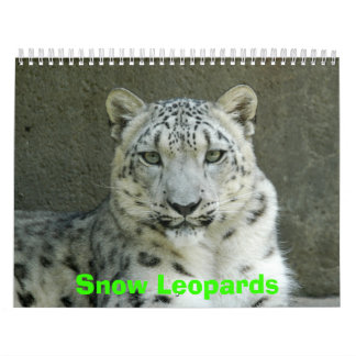 Calendrier de léopards de neige, léopards de neige