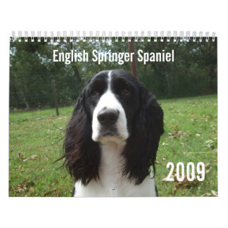 Calendrier de l'épagneul de springer anglais 2009