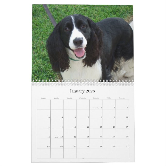Calendrier de l'épagneul de springer anglais 2009 (Jan 2026)