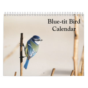 Calendrier de l'oiseau mésange bleue 2027