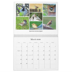 Calendrier de l'ornithologie de jardin 2026