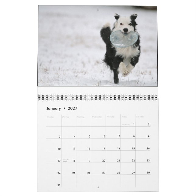 Calendrier de l'ouzo 2010 (Jan 2027)