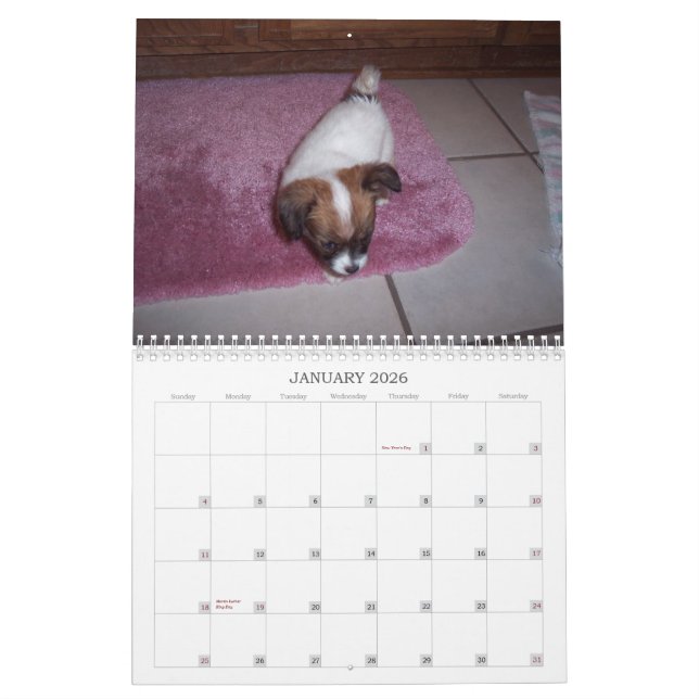 Calendrier de Maggie Mae 2010 (Jan 2026)