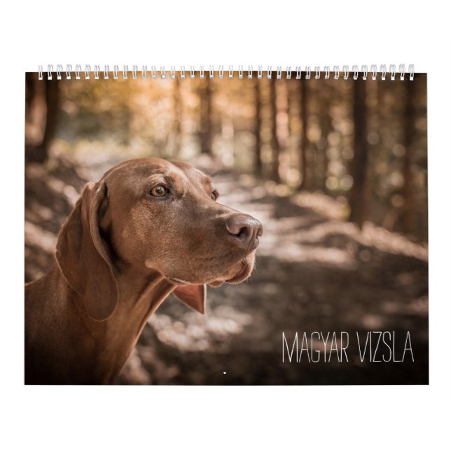Calendrier de Magyar Vizsla (Protection)
