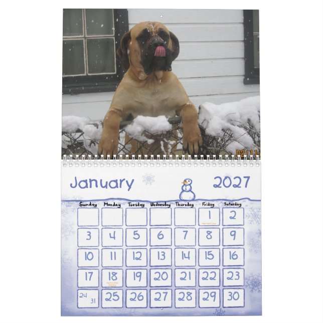 Calendrier de mastiff (Jan 2027)