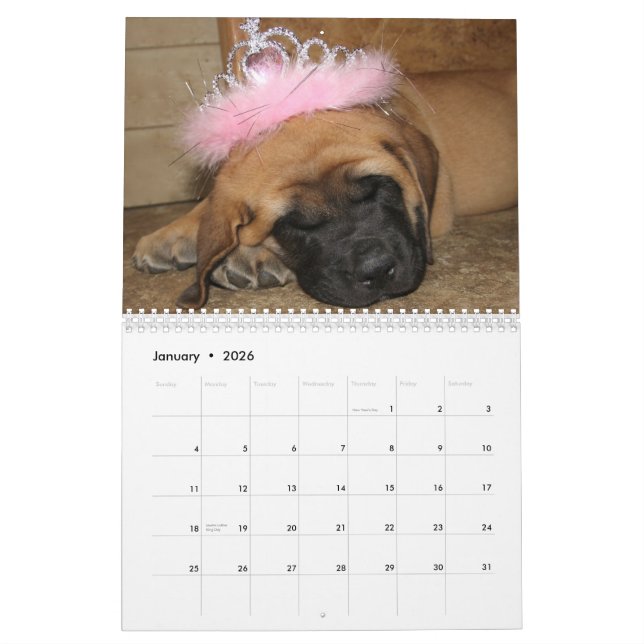 Calendrier de mastiff de sommeil (Jan 2026)