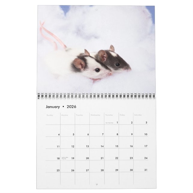 Calendrier de mauvais poil curieux 2011 (Jan 2026)