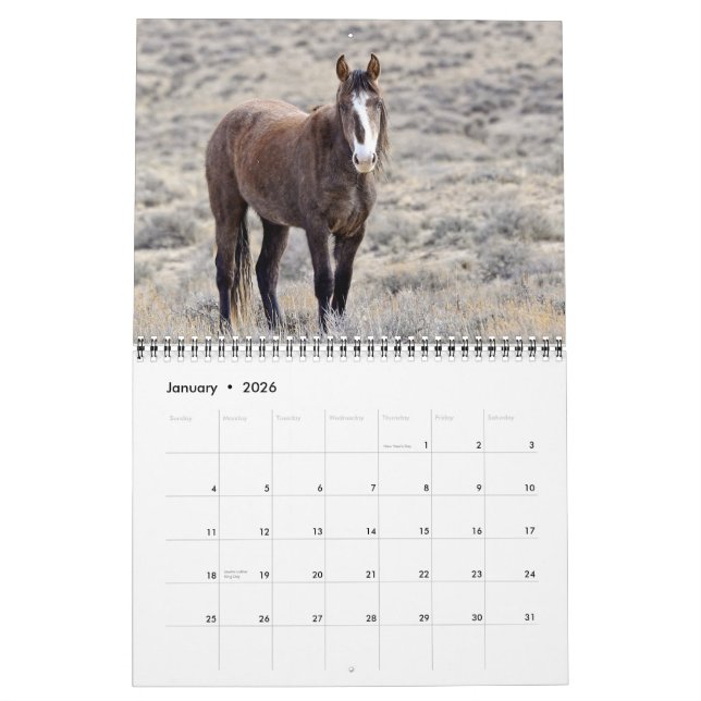 Calendrier de mustangs du Colorado (Jan 2026)