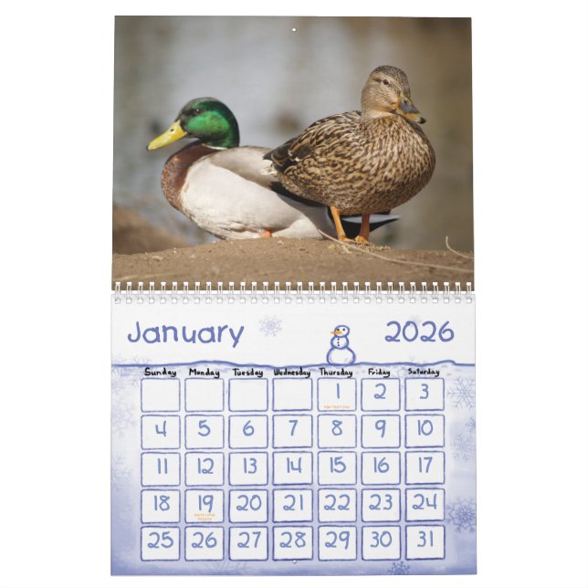 Calendrier de nature de canards de Mallard (Jan 2026)