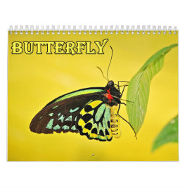 Calendrier de Papillon