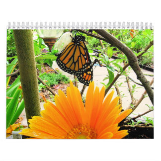 Calendrier de papillon
