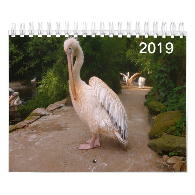 Calendrier de pélican et de paon (Protection)