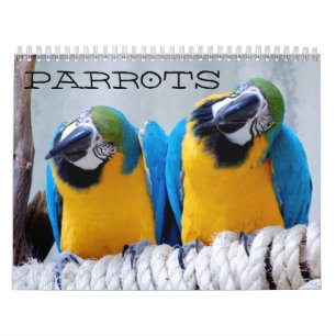 Calendrier de perroquets