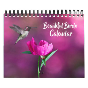 Calendrier de Petits Oiseaux Magnifiques