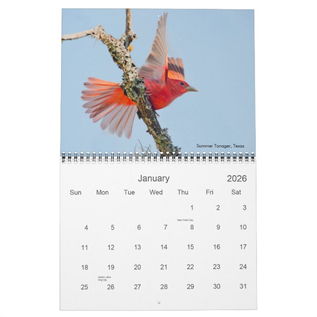 Calendrier de photo de 2011 cardinaux (Jan 2026)