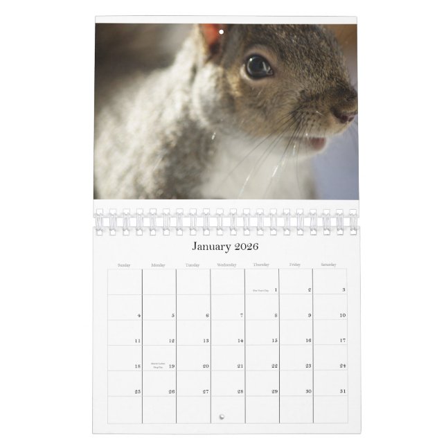 Calendrier de photo d'espion d'oeil (Jan 2026)